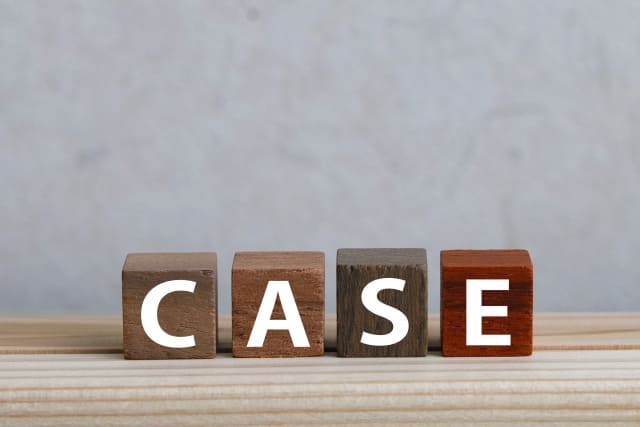 「CASE」と印字されたブロック